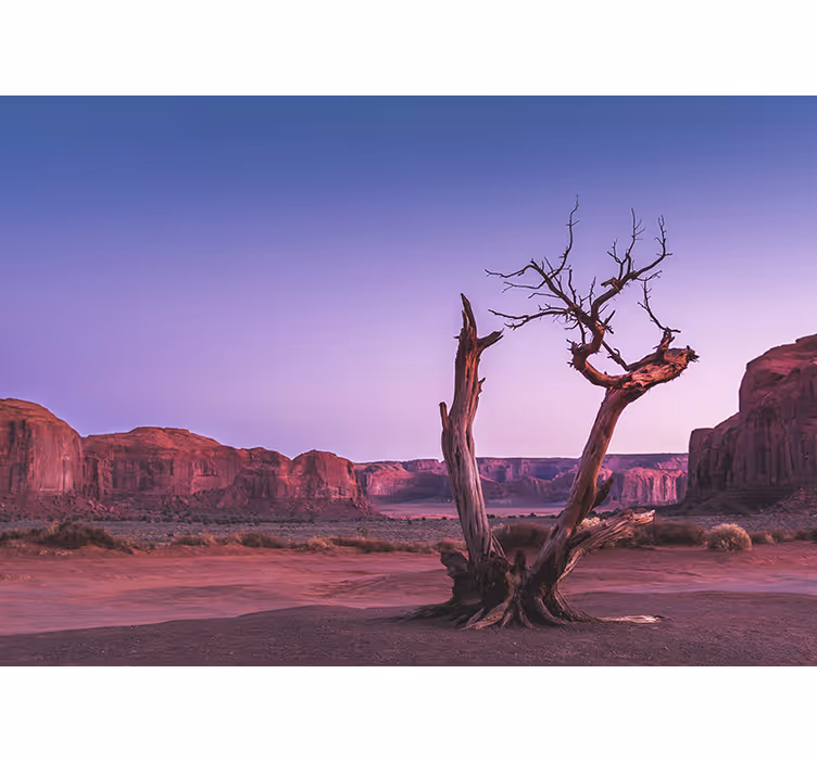 Landscape wall mural desert stone design - TenStickers