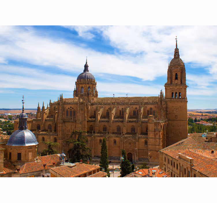 Wall mural madrid historic cathedral view - TenStickers