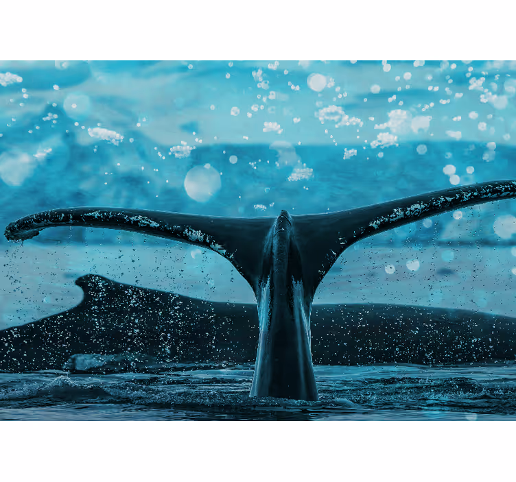 Animals wall mural whale fluke splash - TenStickers
