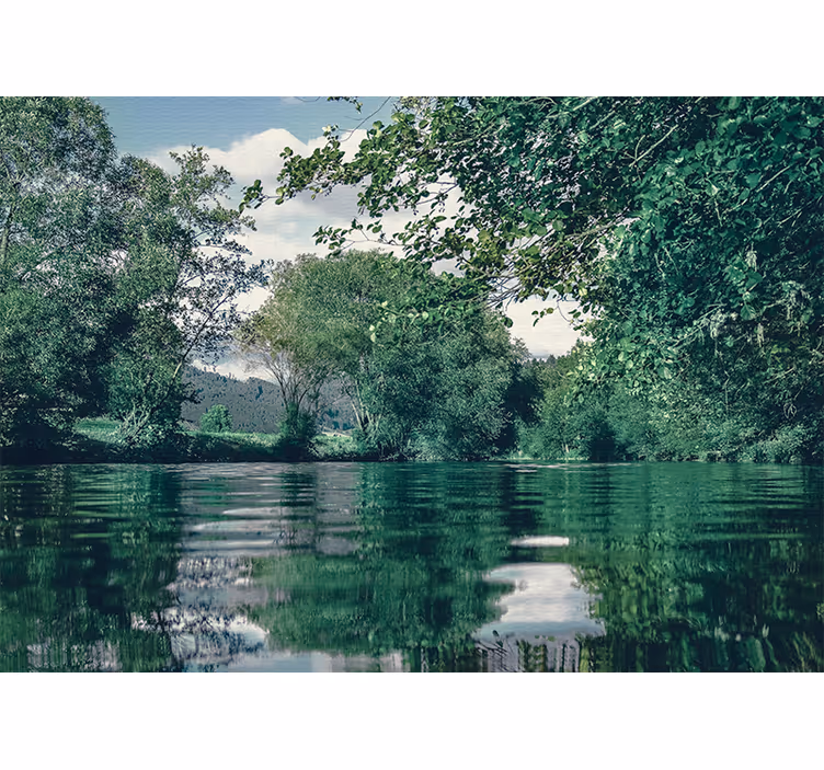 Wall mural nature tranquil river scene - TenStickers