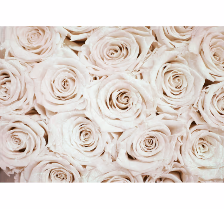 Flower wall mural soft rose bouquet - TenStickers