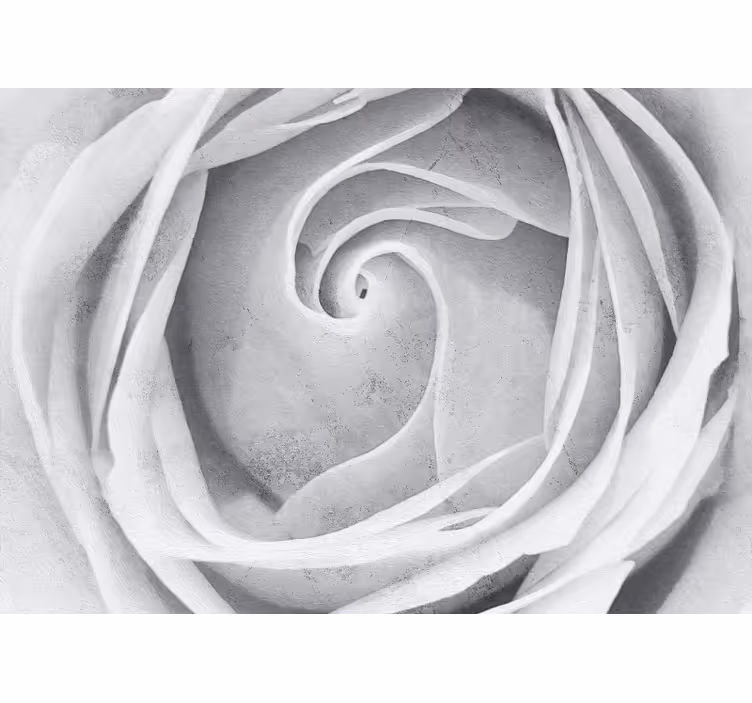 Flower wall mural elegant rose spiral - TenStickers