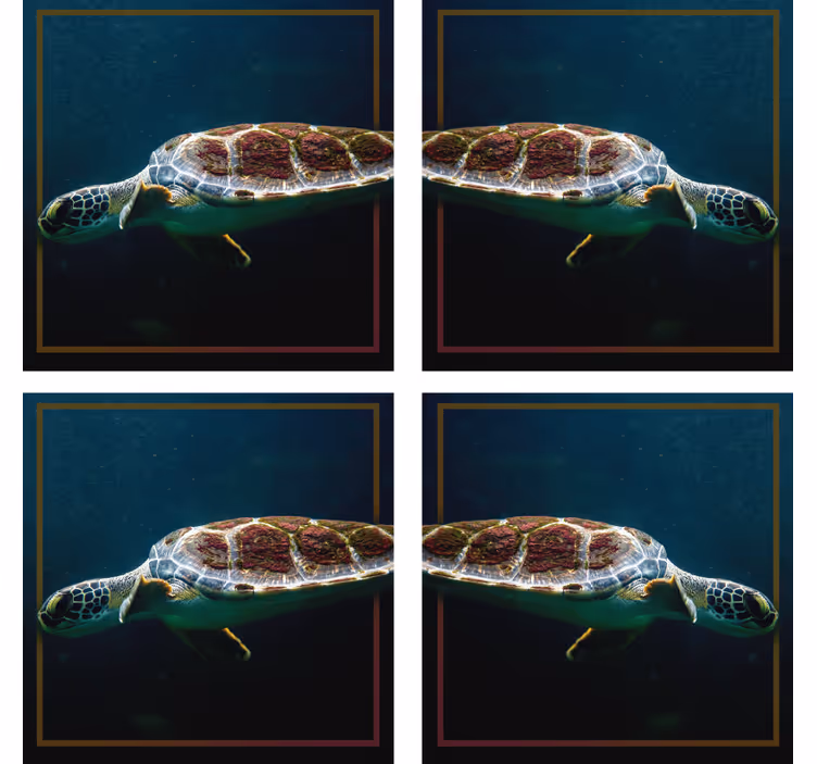 Modern coasters graceful sea turtle image - TenStickers
