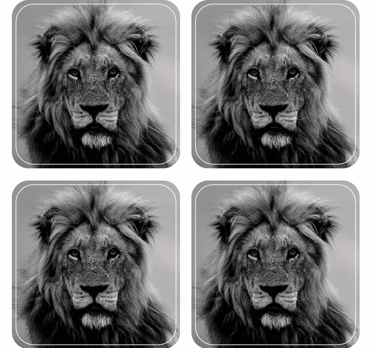 Modern coasters featuring majestic lion portraits - TenStickers