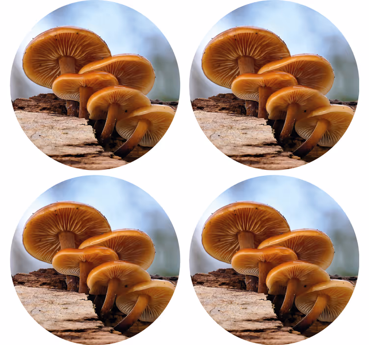 Modern coasters mushroom cluster set - TenStickers