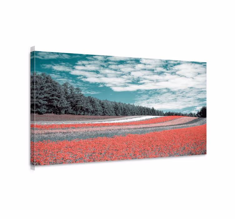 Vibrant flower field landscape canvas - TenStickers