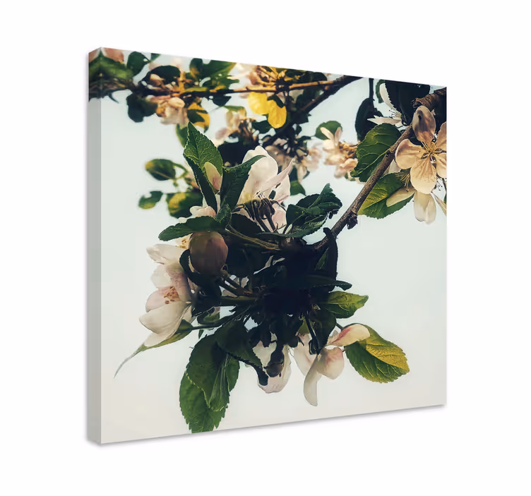 Flowers canvas blooming apple branch art print - TenStickers