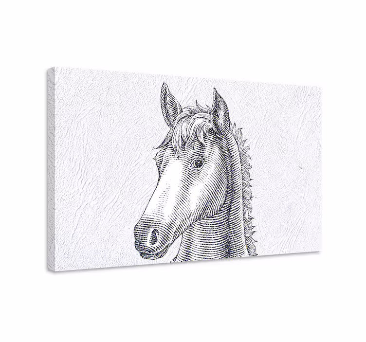 Horse wall art elegant horse drawing - TenStickers