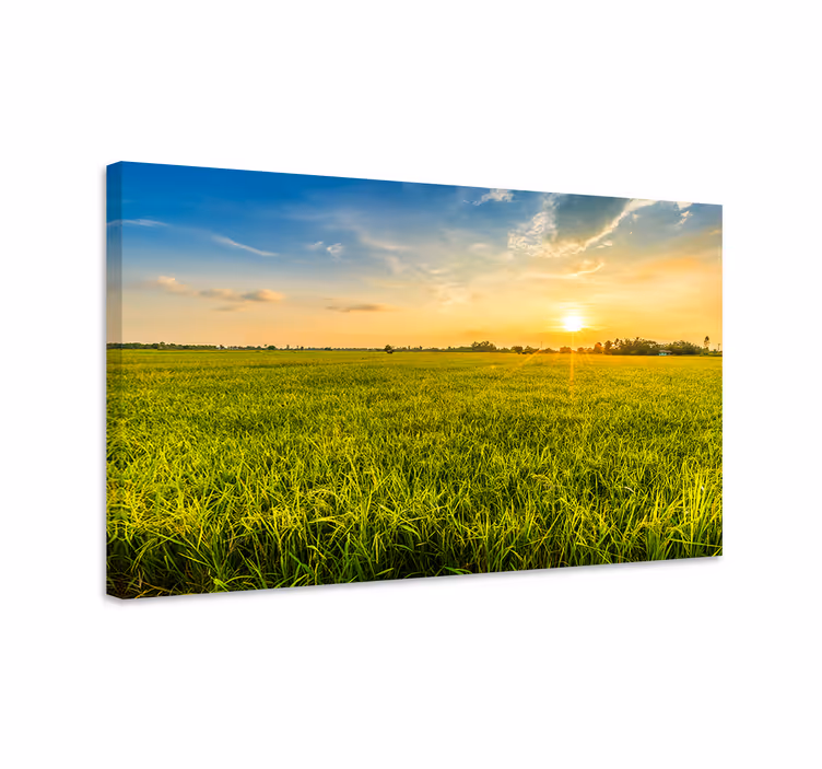 Grass field aesthetic landscape canvas - TenStickers