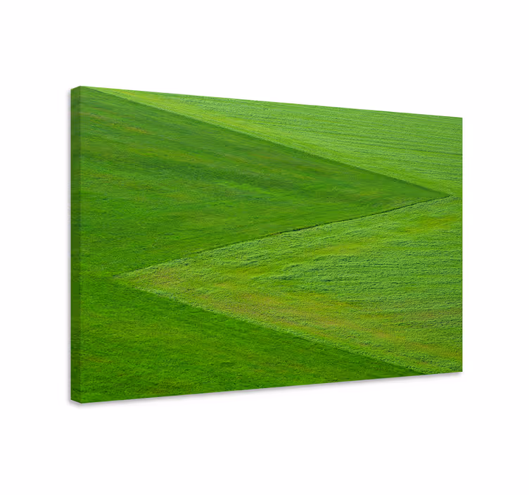 Landscape canvas of verdant green fields - TenStickers