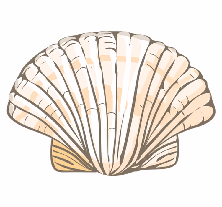 Seashell Illustration animal vinyl rug - TenStickers