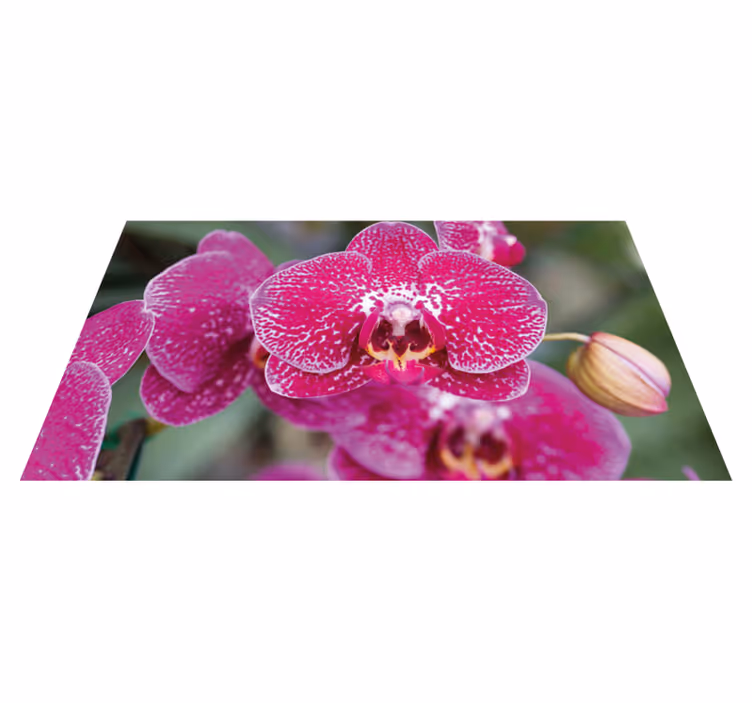 Purple orchid closeup floral rug - TenStickers