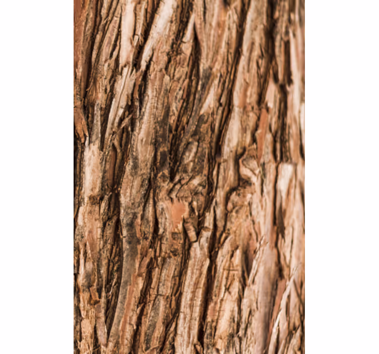 Living area wallpaper tree bark design - TenStickers