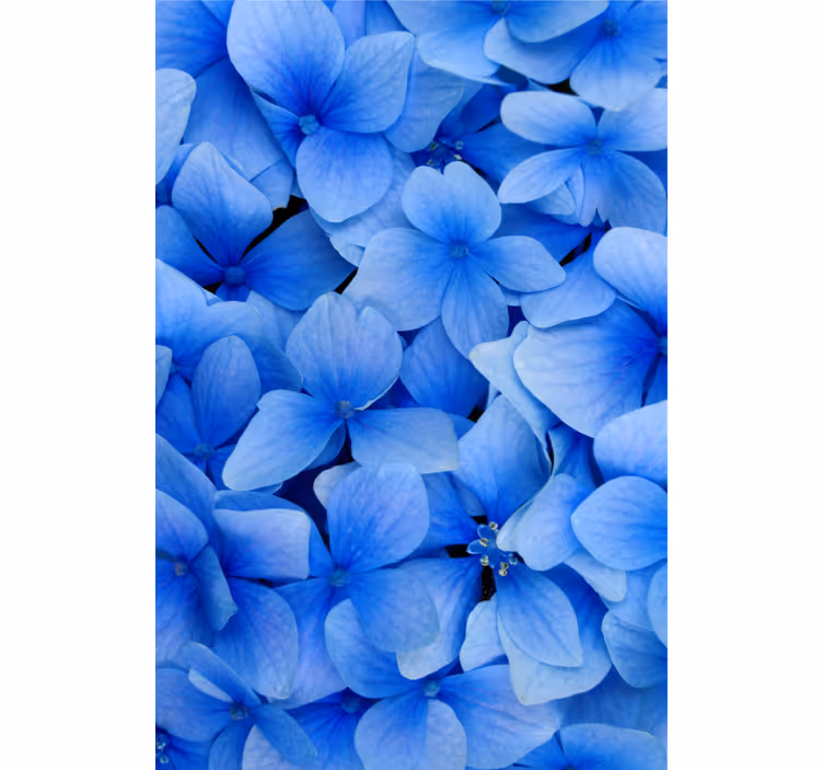 Living area wallpaper hydrangea petals design - TenStickers