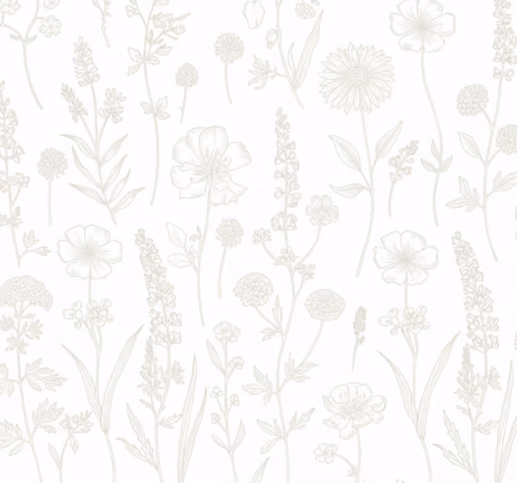 Living area wallpaper botanical sketch path - TenStickers