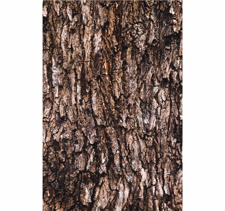 Master bedroom wallpaper with realistic tree bark - TenStickers