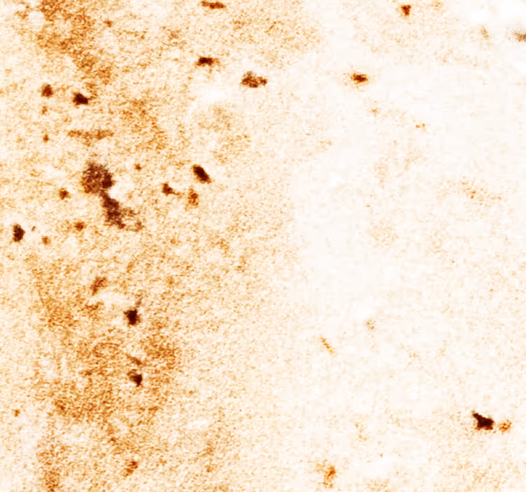 Natural Stone Aesthetics marble effect wallpaper - TenStickers