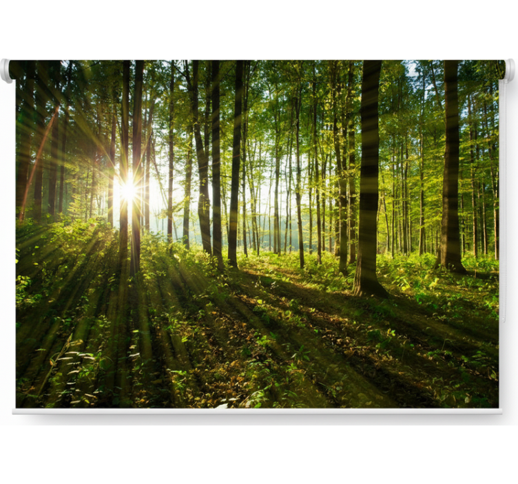 Tree blind golden sunburst woods - TenStickers