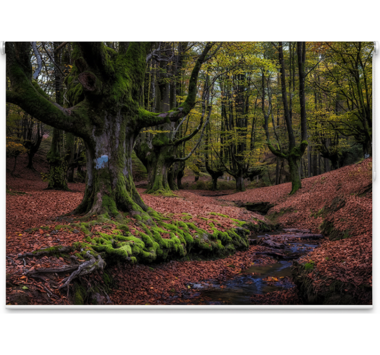 Tree blind enchanted autumn forest - TenStickers