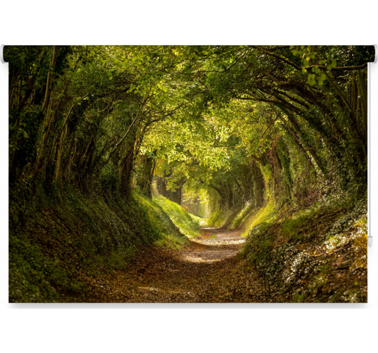 Tree blind immersive forest mural - TenStickers