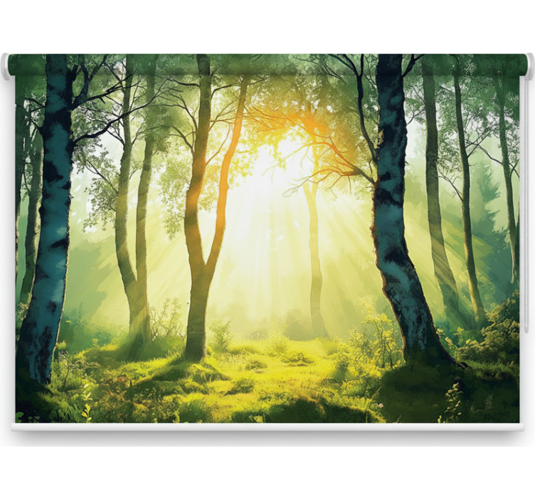 Tree blind sunlit birch mural - TenStickers
