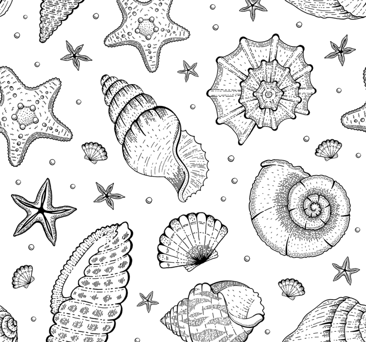 Blind office marine life and seashells black white - TenStickers