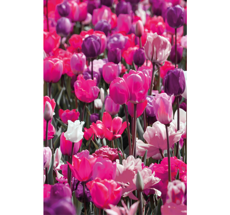 Purple tulip blooms blind flowers and plants - TenStickers