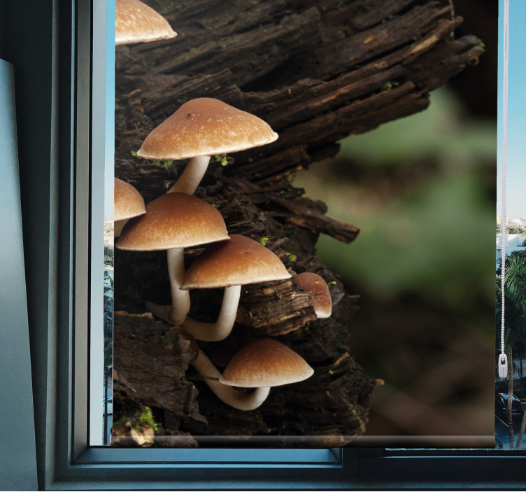 Mushrooms on Wood blind flowers and plants - TenStickers
