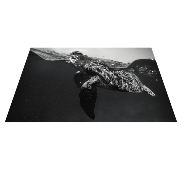 Turtle underwater scene placemats - TenStickers