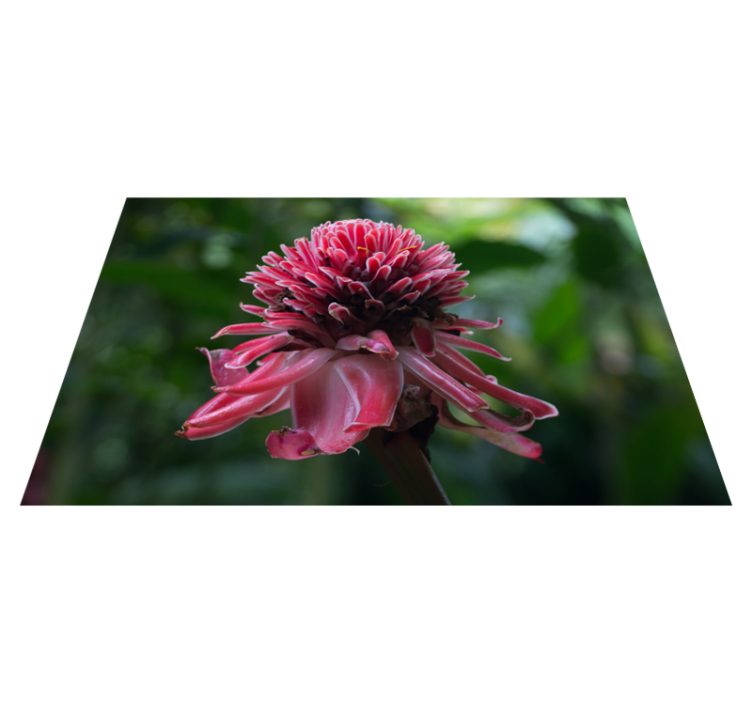 Original placemats tropical floral design - TenStickers