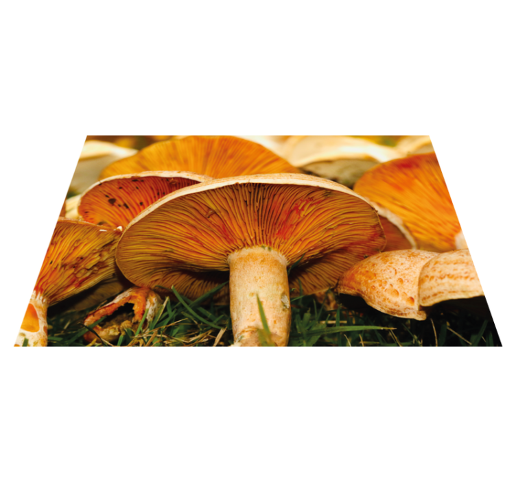 Original placemats mushrooms with ramen - TenStickers