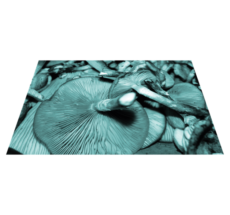 Mushroom close-up placemats - TenStickers