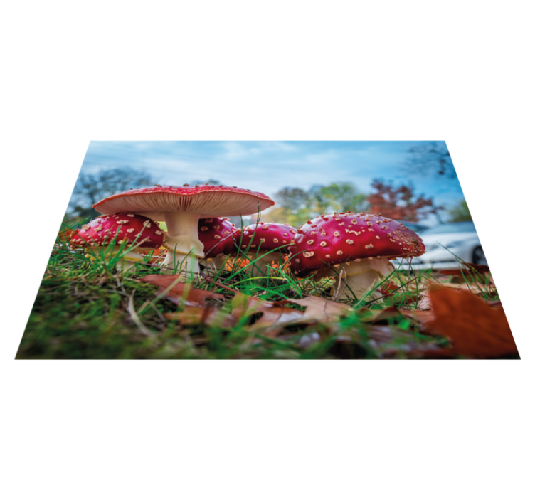 Modern placemats mushroom culinary design - TenStickers