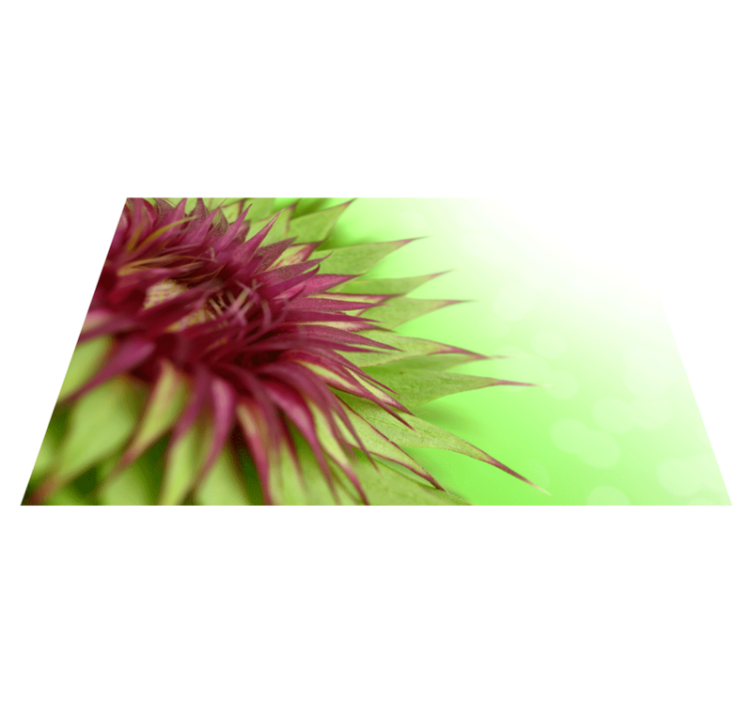 ThistleThistle is a prickly flowering plant of the daisy family.  - TenStickers
