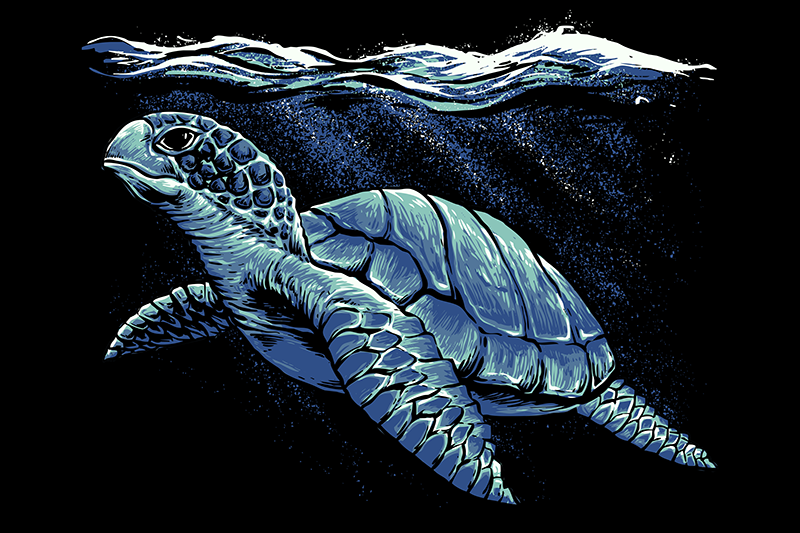 Turtle hand drawing turtle placemats - TenStickers