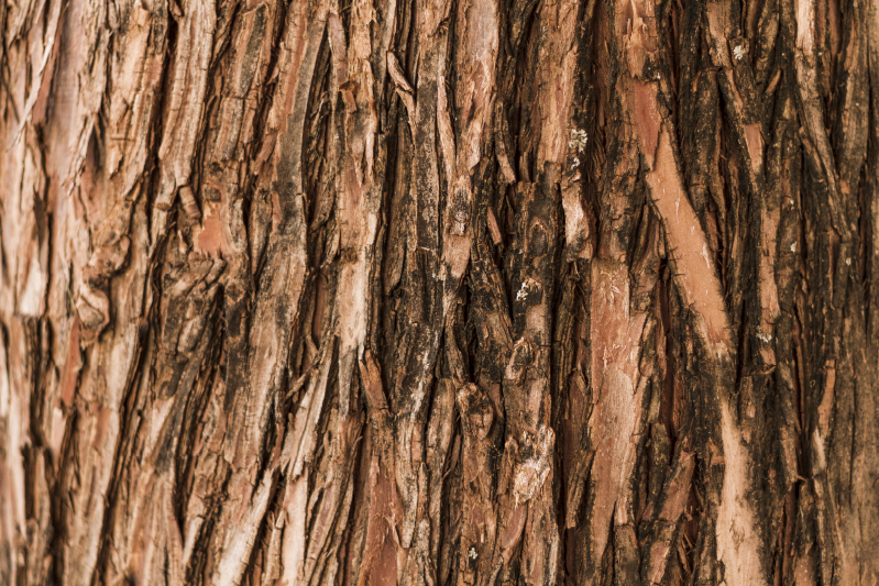 Tree bark textured placemats - TenStickers