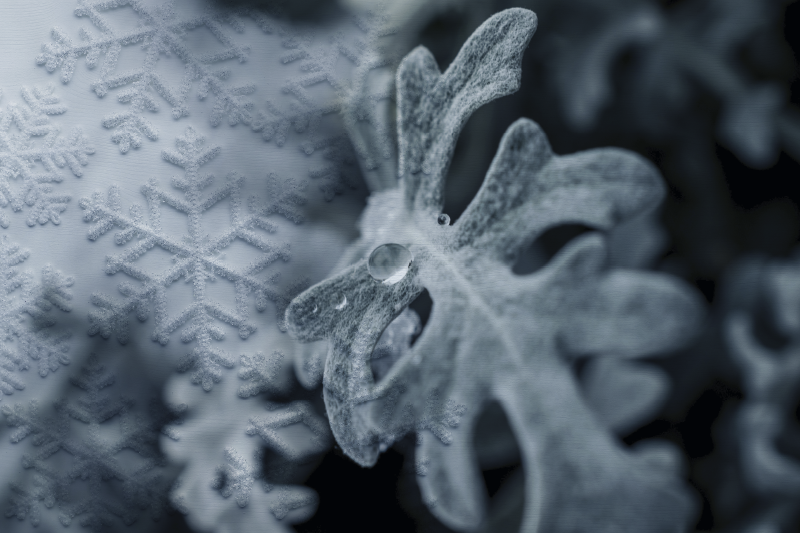 Frosted leaves  original placemats - TenStickers