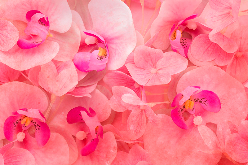 Placemat graceful bloom composition - TenStickers