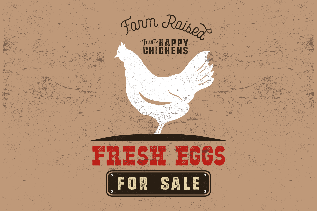 Fresh eggs white chicken original placemats - TenStickers