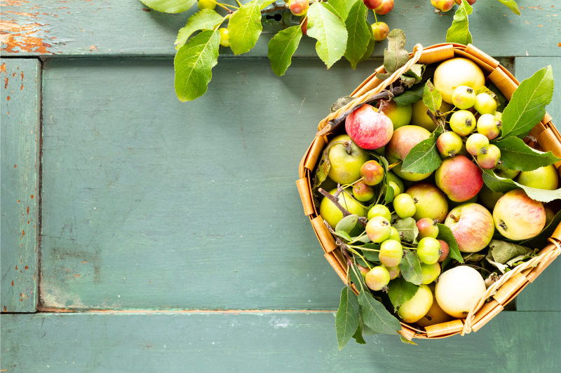 Placemats for home fruit basket design - TenStickers