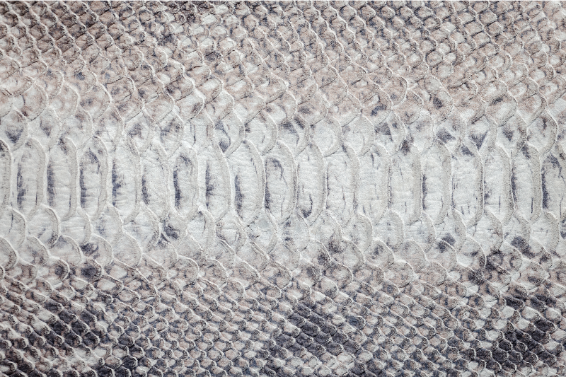 Serpent skin texture placemats - TenStickers