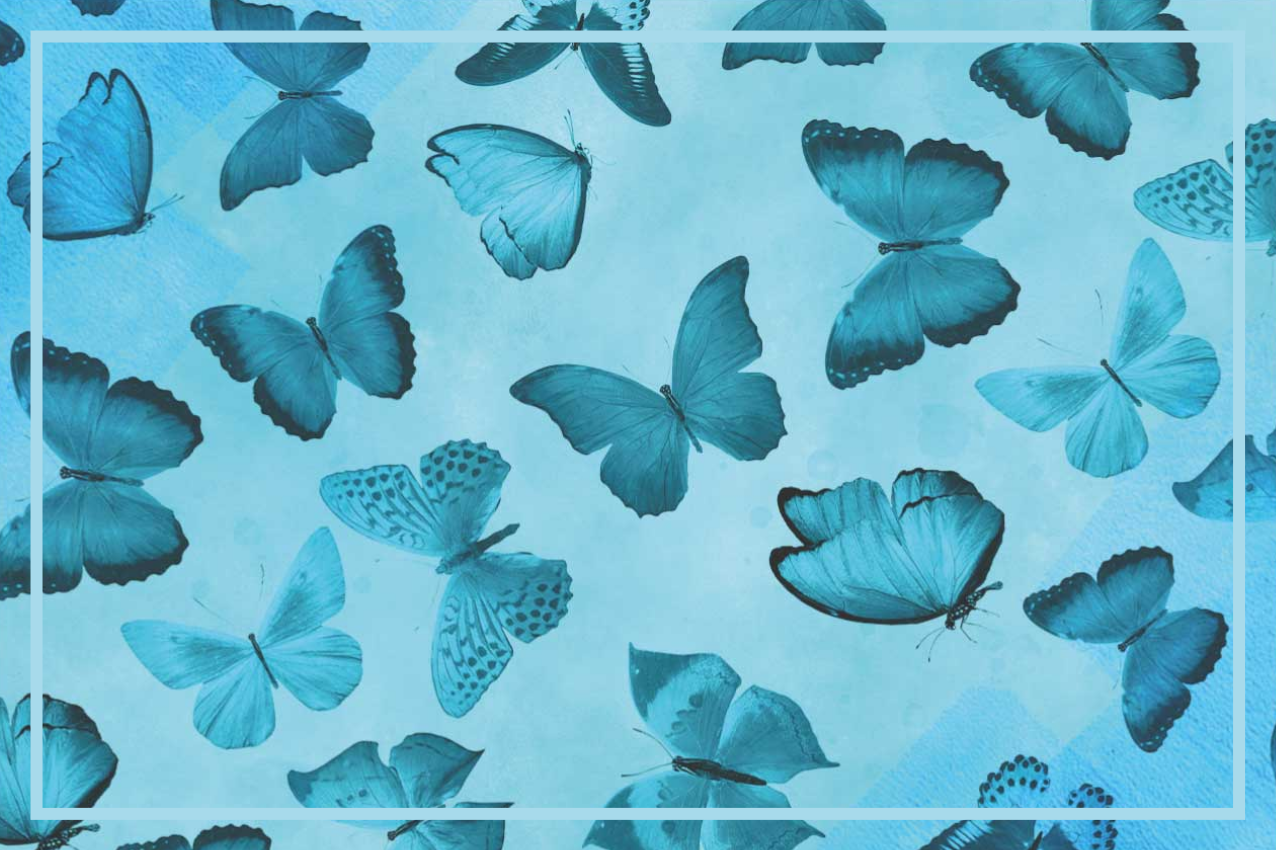 Butterfly themed placemats - TenStickers