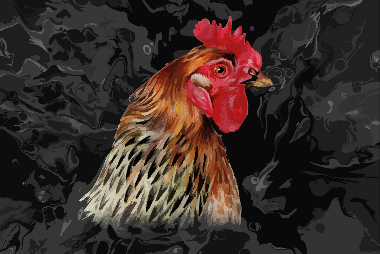 Original placemats colorful chicken portrait - TenStickers
