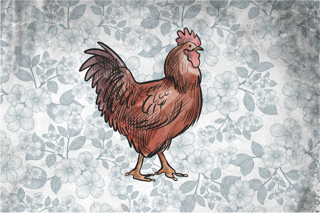 Original placemats rustic chicken illustration - TenStickers