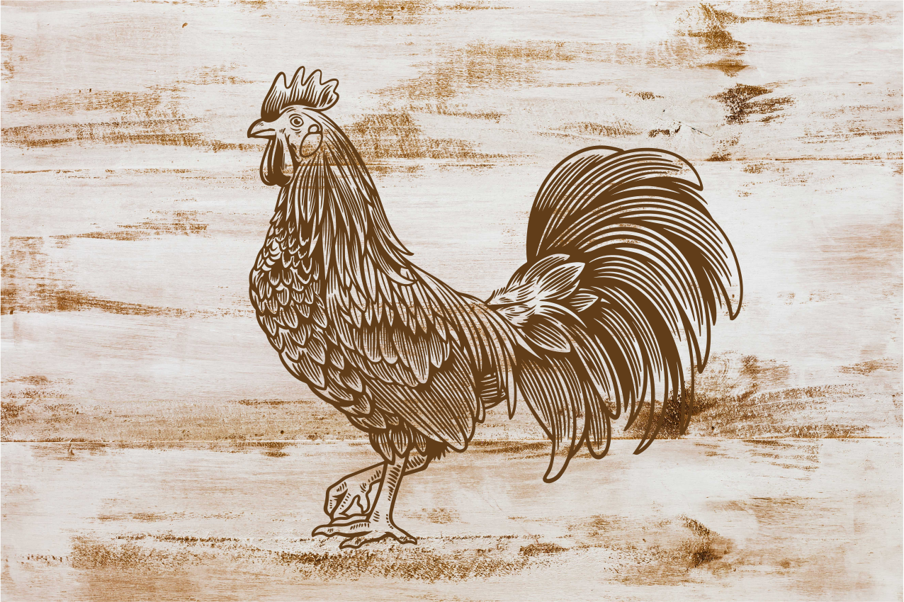Modern placemats with chic rooster design - TenStickers