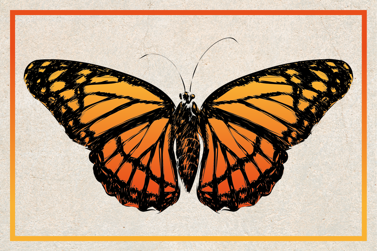 Original placemats orange monarch butterfly - TenStickers