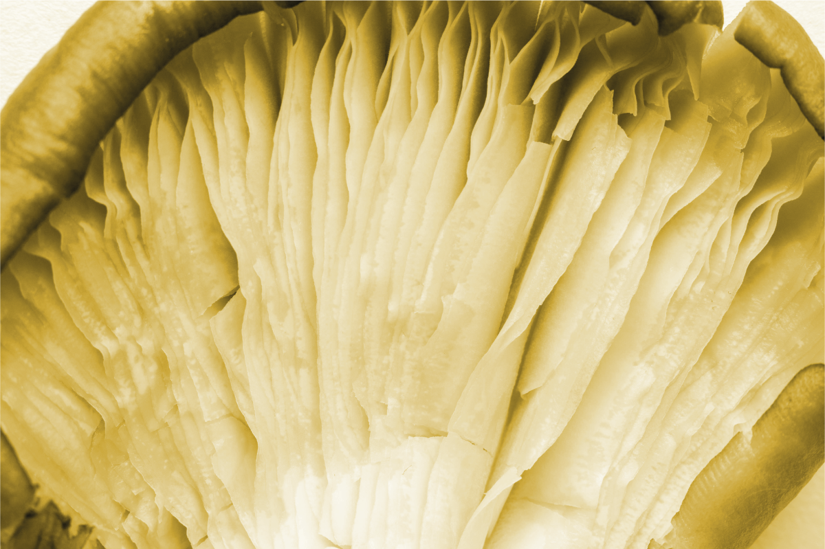 Placemat curved leaf layers - TenStickers