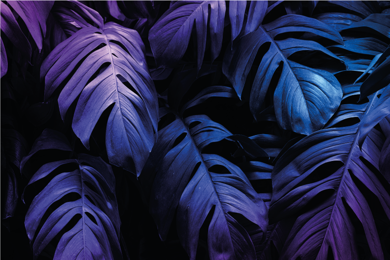 Vibrant Leaf Patterns placemats - TenStickers