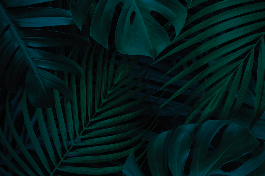 Tropical leaf appeal placemats - TenStickers