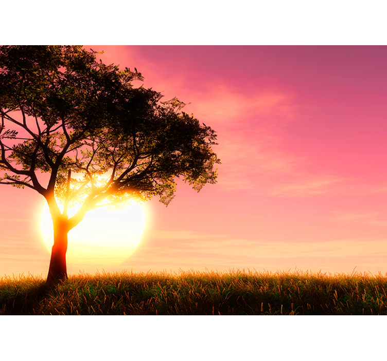 Sunset over a field tree wall mural - TenStickers